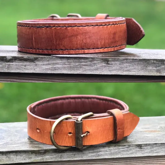 Läderhalsband utan brodyr