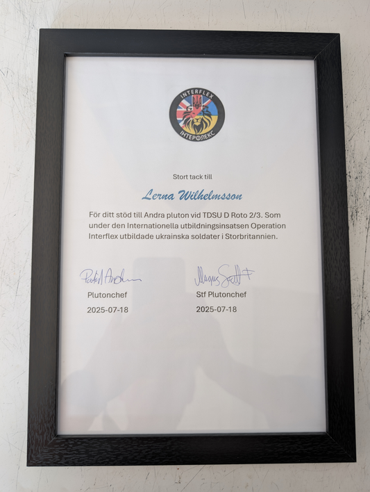 Ukrainas sak är vår sak